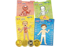 BEST LEARNING i-Poster My Body - Interactive Educational Human Anatomy Talking Game Toy | Learn Body Parts, Organs, Muscles and Bones for Kids Aged 5 to 12 Years Old