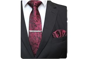 JEMYGINS Mens Solid Color Paisley Necktie and Pocket Square with Tie Clip Sets