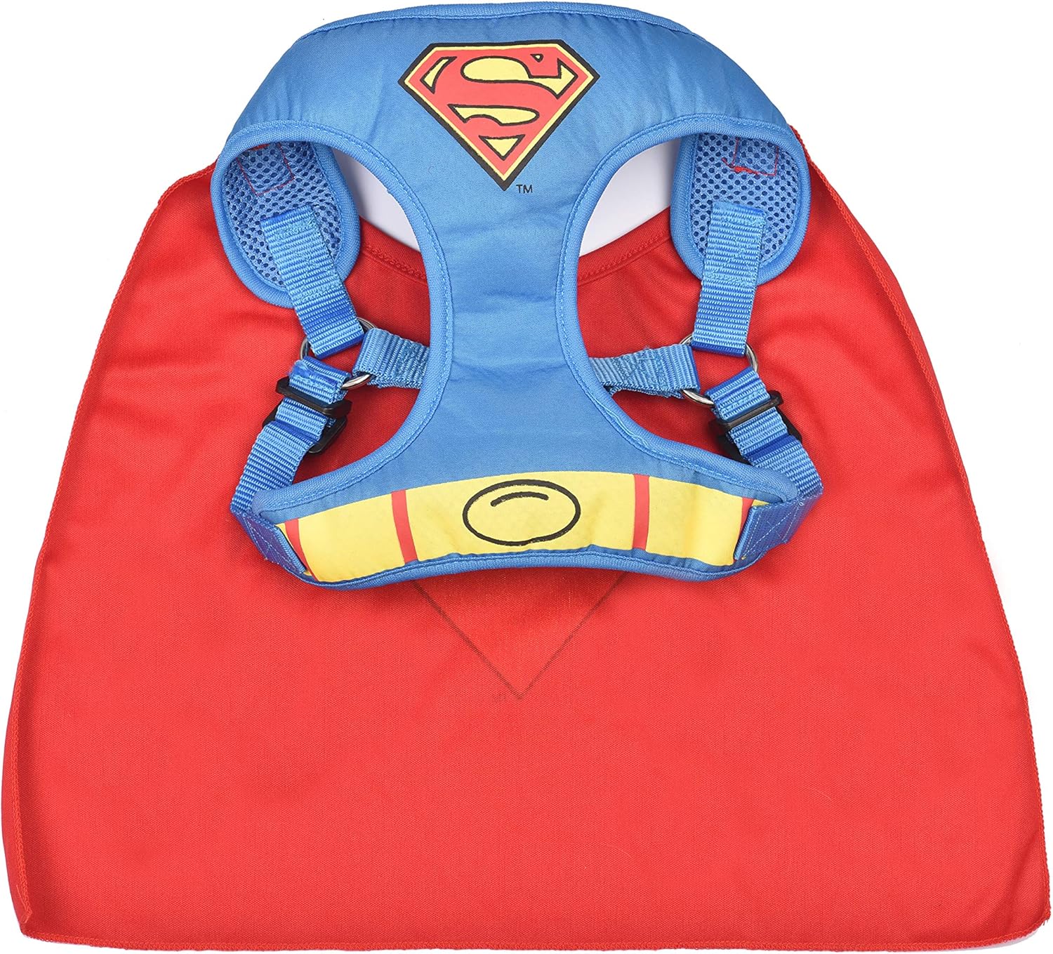 blue dog collar and lead