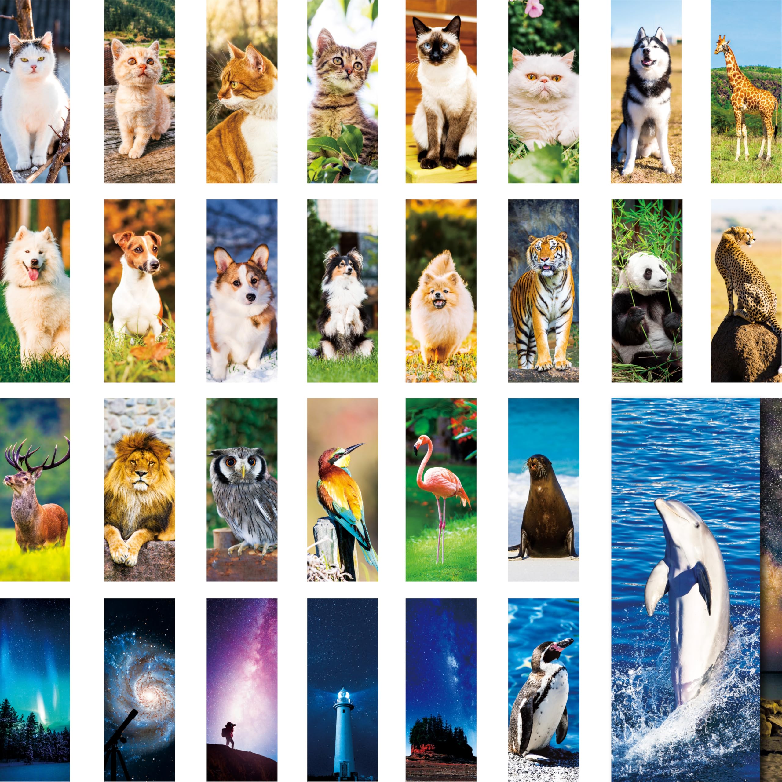 120 PCS Animal Bookmarks, 30 Designs Double-Sided Printing Paper Bookmarks with PET Film, Cat/Dog/Galaxy/Wild Animals for Kids, Students, Adults, Book Lovers (2.4” x 6.1”)