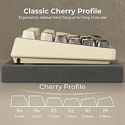 GMKWTL XVX Double Shot PBT Keycaps, Chrysanthemum