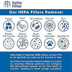 Fette Filter- Air Purifier Filter Compatible with