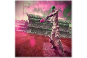 Cricket Game