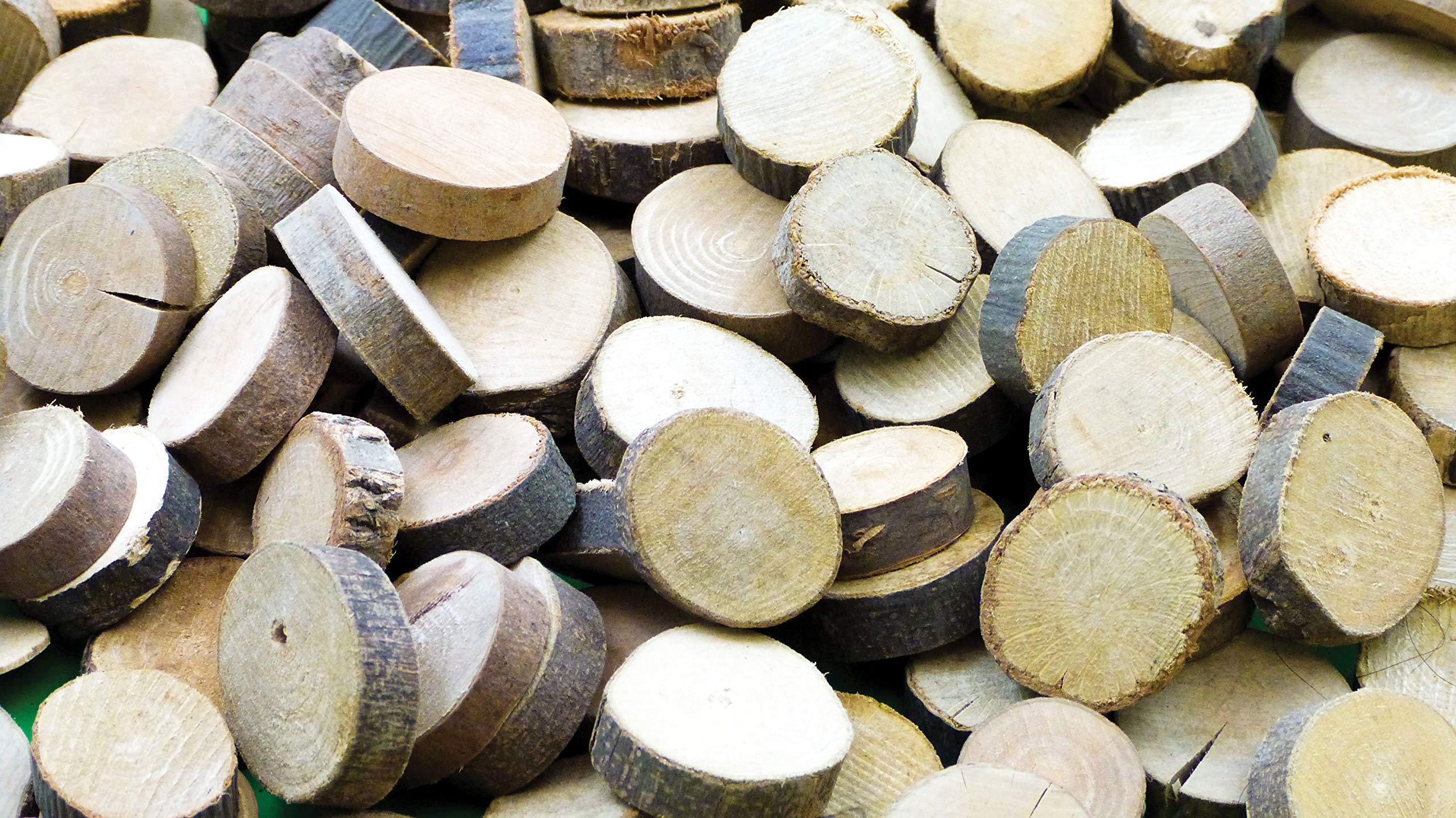 Baker Ross AF919 Circular Branch Offcuts - Pack of 50 250g, Wood Slices and Craft Supplies, Great for Craft Embellishments and Wooden Kids Crafts