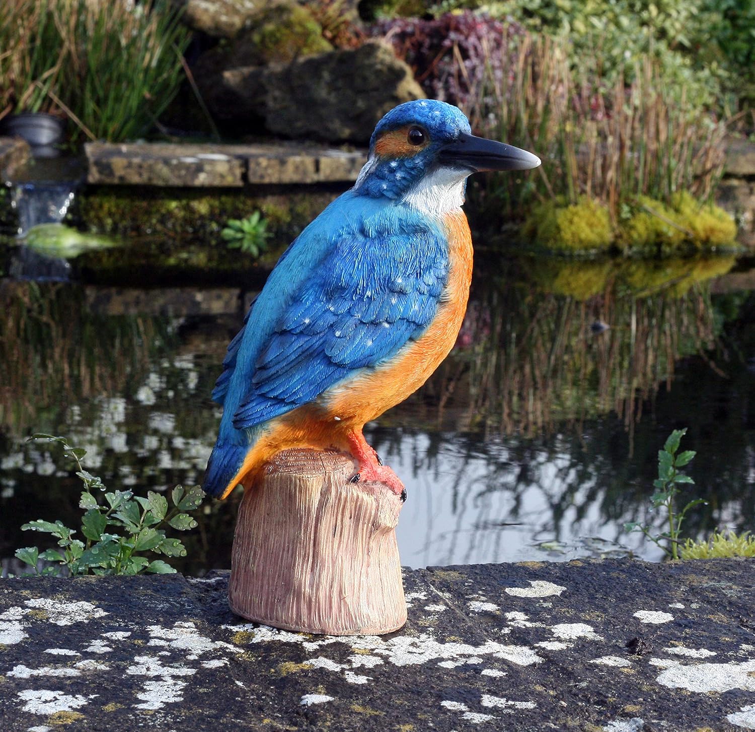 Kayleigh the Kingfisher 25 cm Resin Garden Fishing/Pond Ornament, Blue - Image 3