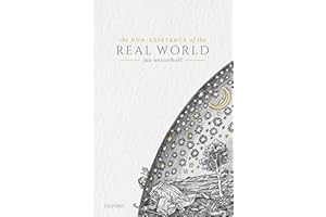 The Non-Existence of the Real World