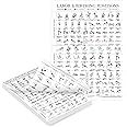Palace Learning Labor & Birthing Positions Tearsheet Handout - Childbirth Education for Doula, Midwife or Birthworker - Set of 100-8.5" x 11"