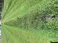 Review Image by Amazon Customer Amazon Customer