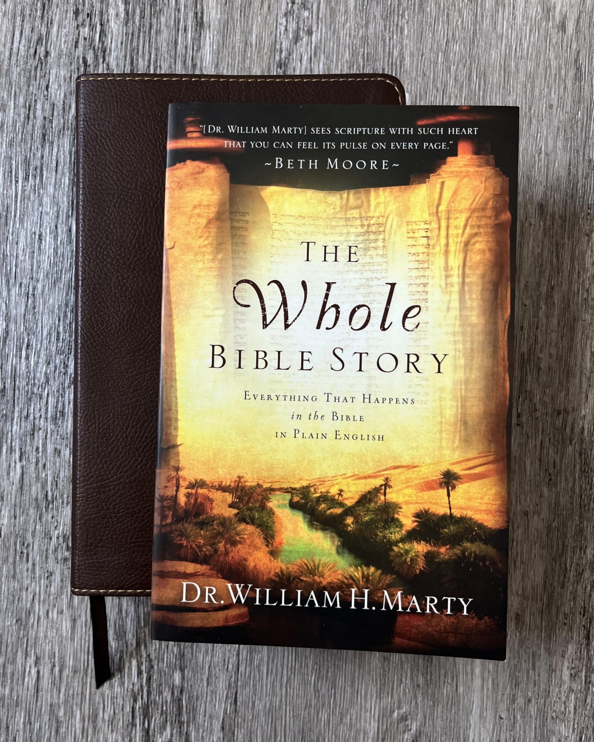 The Whole Bible Story: Everything That Happens in the Bible in Plain English (A Chronological Recap for Understanding the Bible―Stories of the Bible and Bible Study for Adults)