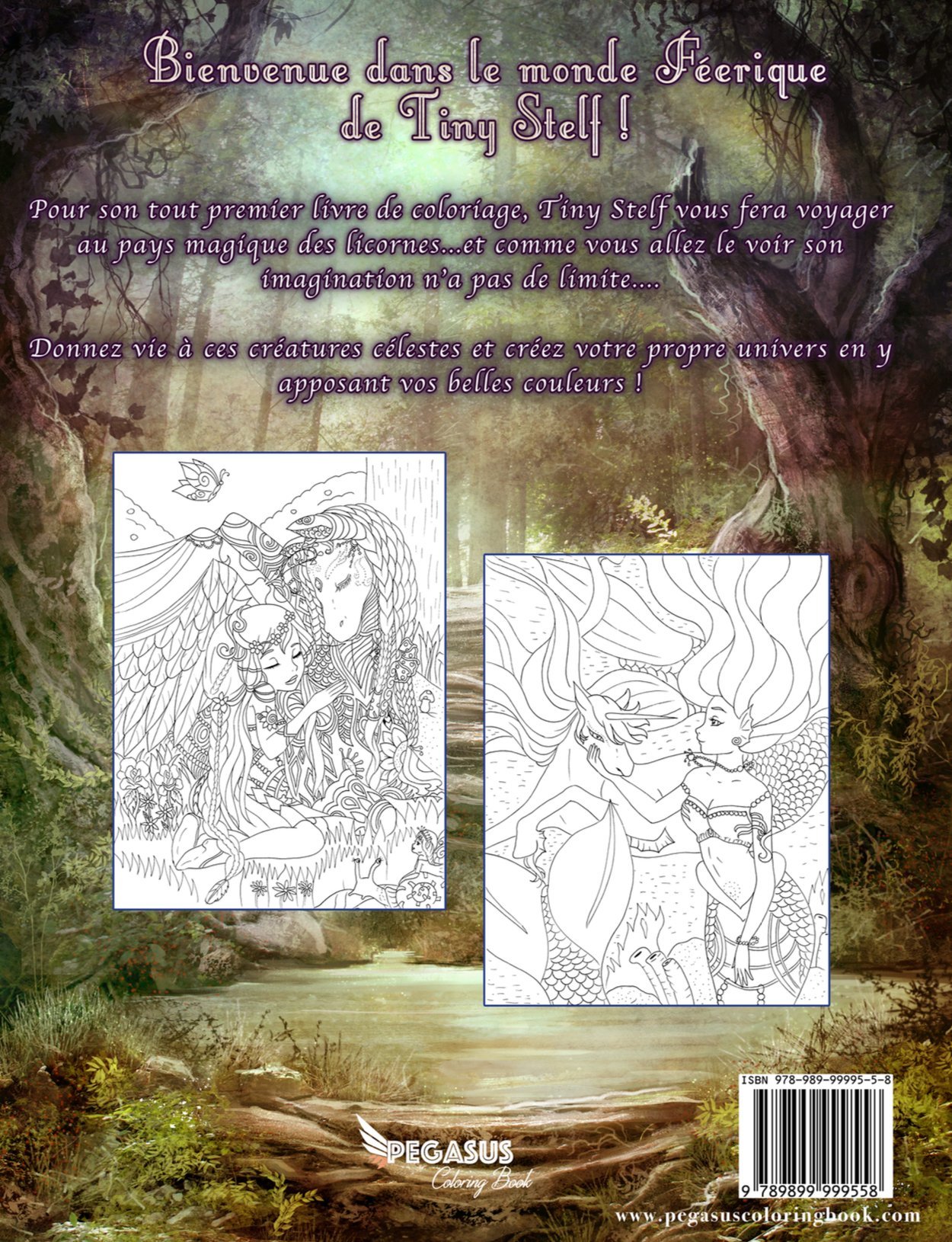 Amazon Livre de coloriage pour adultes Le Monde des Licornes Pegasus Coloring Book Tiny Stelf Livres