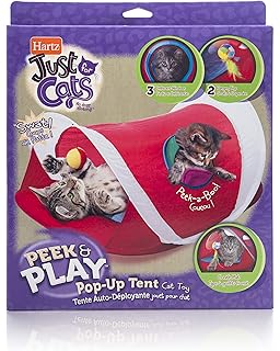 hide and play cat toy