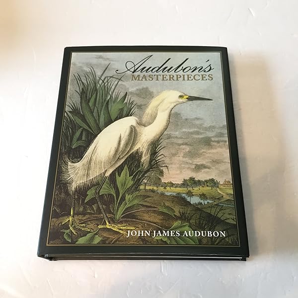 Amazon.com: Bird: 9780811870986: Zuckerman, Andrew: Books