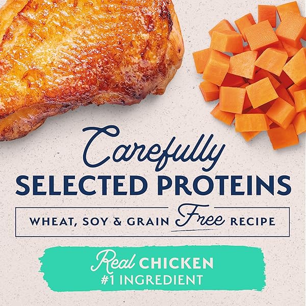 NATURAL BALANCE LIMITED INGREDIENT ADULT GRAIN-FREE WET CANNED DOG FOOD, CHICKEN & SWEET POTATO RECIPE, 13 OUNCE (PACK OF 12)