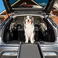 large dog ramp for car