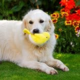 Petface Leah the Little Bird Plush Dog Toy view 5