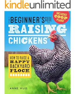 A Kid S Guide To Keeping Chickens Best Breeds Creating A Home