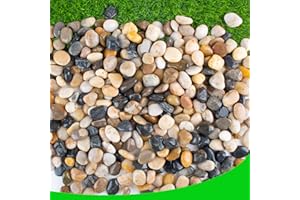 CJGQ Pebbles for Plants 7 lb Natural River Rocks for Garden Outdoor Aquariums Gravel 1-1.5 Inches