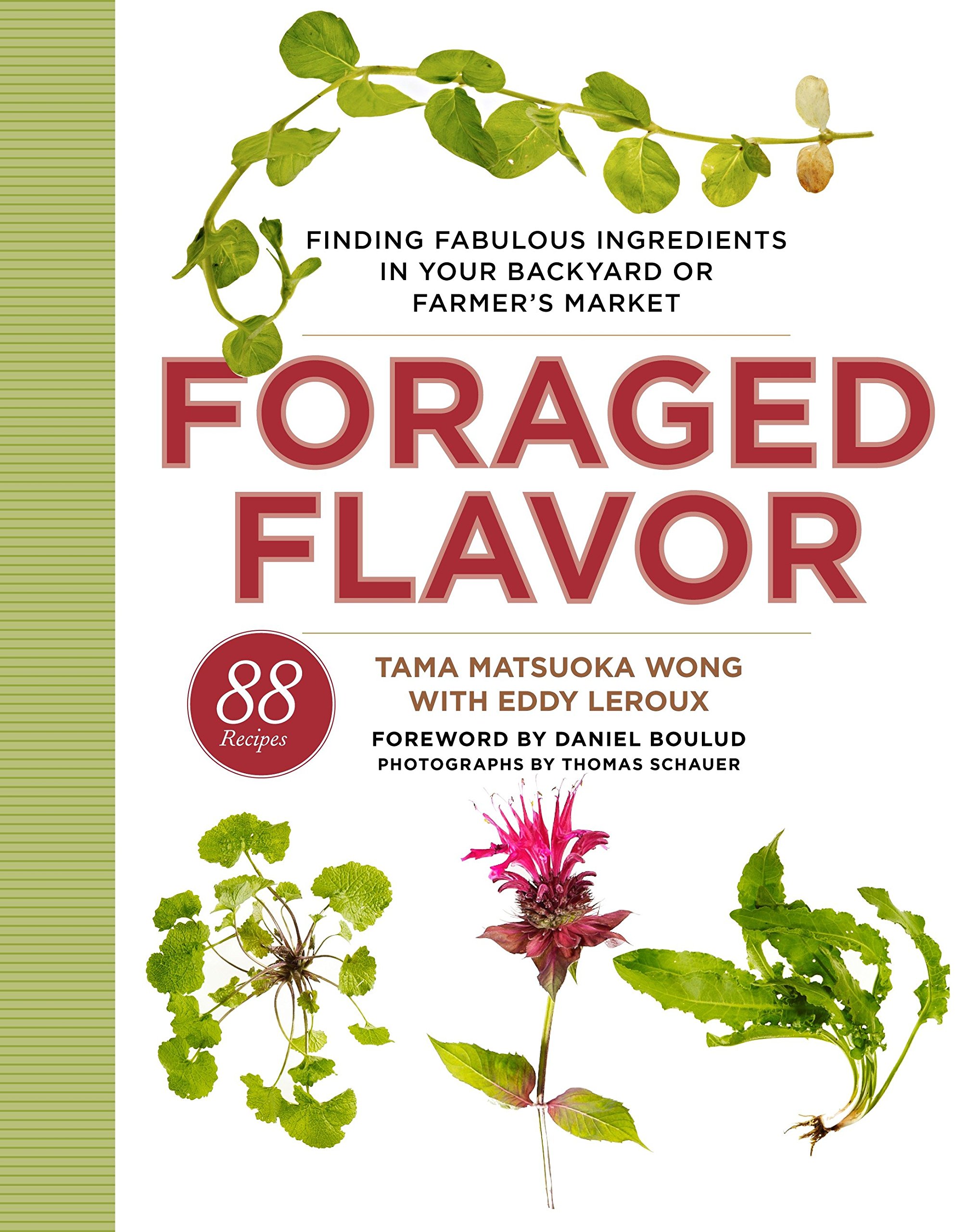 Foraged Flavor Finding Fabulous Ingredients In Your Backyard Or