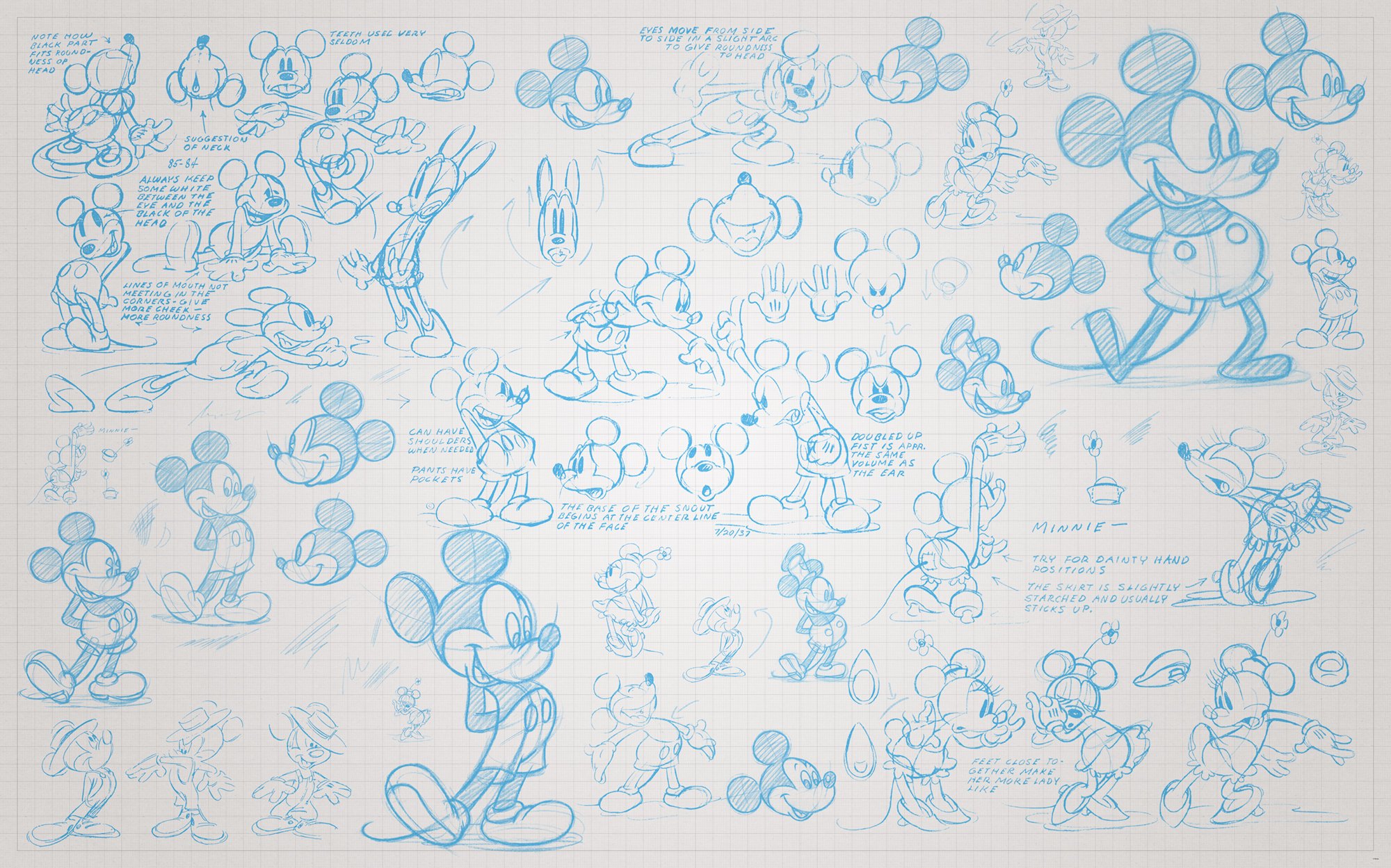 Komar 048-DVD4 Mickey Sketches, Blue, 400 x 250 cm