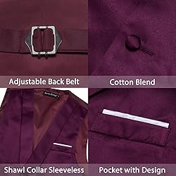 Barry.Wang Mens Dark Purple Vest Formal/Leisure