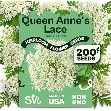 Amazon Best Sellers: Best Flower Plants & Seeds
