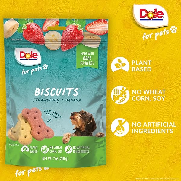DOLE FOR PETS DOG BISCUITS ASSORTED BANANA + STRAWBERRY MIX, REAL FRUIT FLAVOR VEGAN CRUNCHY TREATS, NO WHEAT CORN SOY OR ARTIFICIAL ADDITIVES, BITE SIZE TRAINING SNACKS FOR DOGS, 7 OZ
