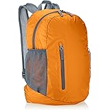 Amazon Basics Ultralight Portable Packable Day Pack