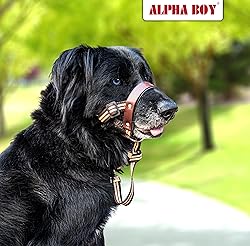 ALPHA BOY Dog Training HeadCollar – Comfortable