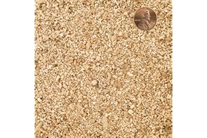 GARDENWISE Organic Fine Vermiculite for Indoor Gardening Plants and Mushrooms – Enhances Soil Aeration, Seed Germination, Rooting Cuttings – Small Packages and Bulk (Vermiculite Grade 2 – Fine, 1 qt)