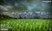 Weather HD for Tablets