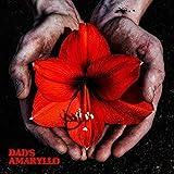 Dad's Amaryllo