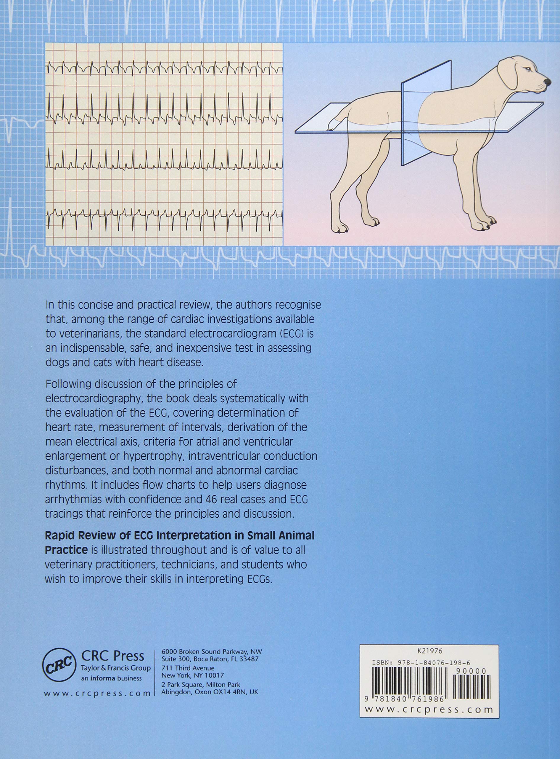 parkway small animal