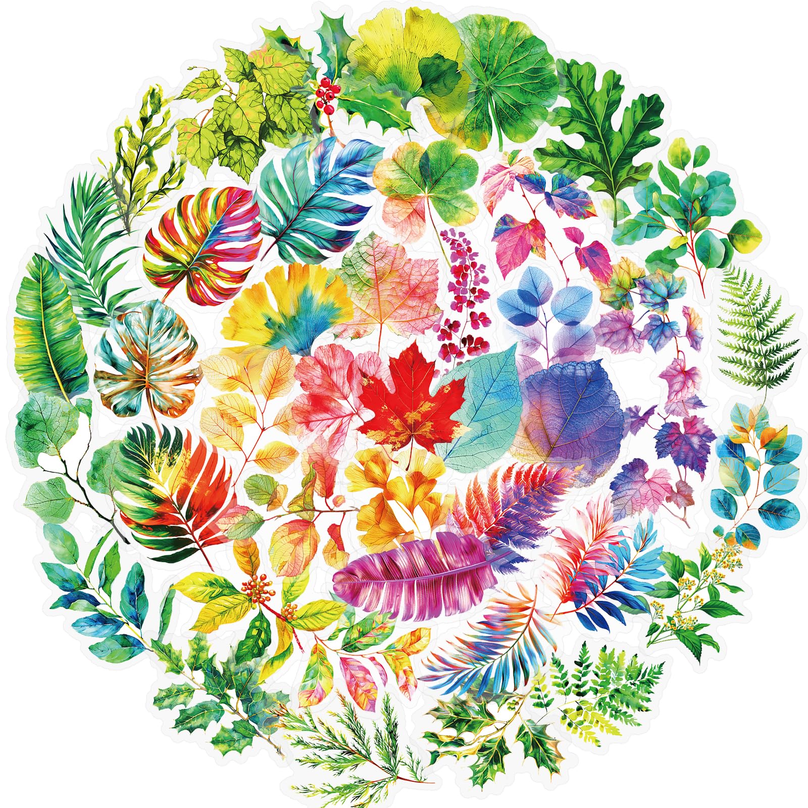 Photo 1 of Ychsring Colorful Plant Leaf Stickers - 50 Pcs Clear PET Nature Botanical Fall Leaves Stickers for Scrapbook, Journal, Collage - Transparent Waterproof for Resin, Craft & Scrapbook Supplies