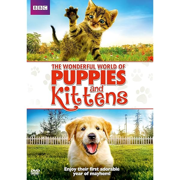 Amazon.com: Puppy Party : Puppies!, LongNeedle Entertainment