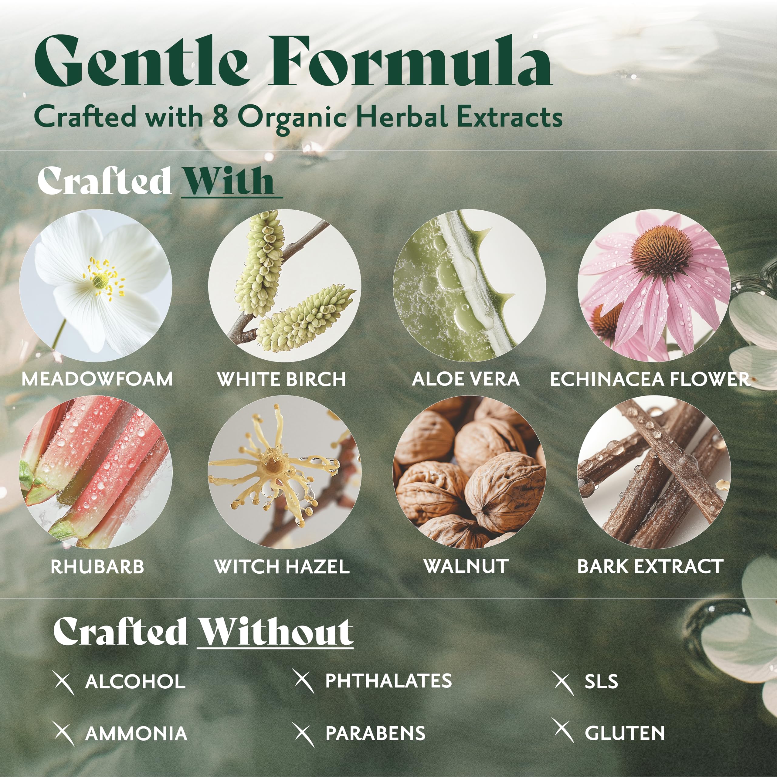 Herbatint Permanent Hair Dye For Women - 1N Black - For Up To 100% Gray Coverage - Ammonia-Free, Alcohol-Free & Vegan - Salon Influenced Hair color 5.75 fl oz