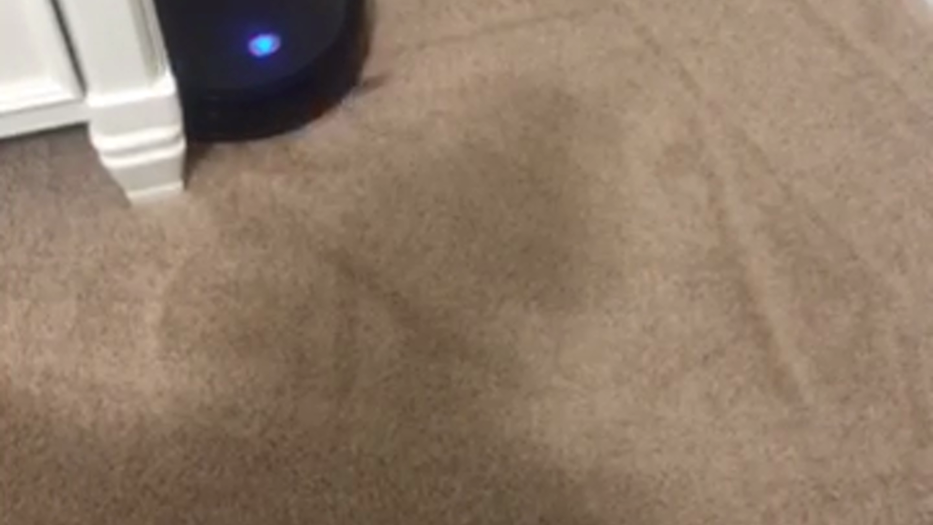 It’s ok... on Amazon Live