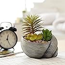 4 Inch Resin Snail Shell Succulent Planter Pot, Decorative Artificial Mollusk Design Accent Bowl, Silver