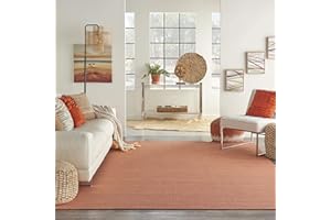NOURISON HOME Nourison Positano 5' x 7' Terracotta Fabric Modern Area Rug (5' x 7')