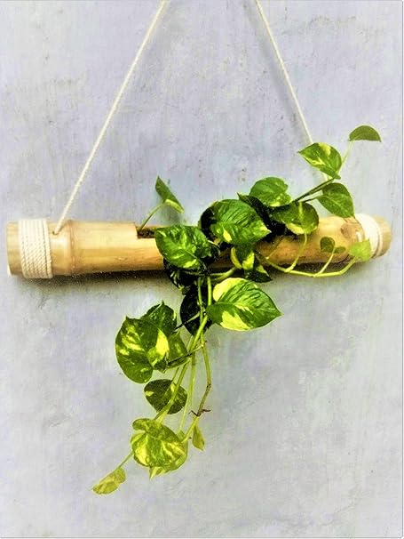 NAOE Brown Single (Set of 2)