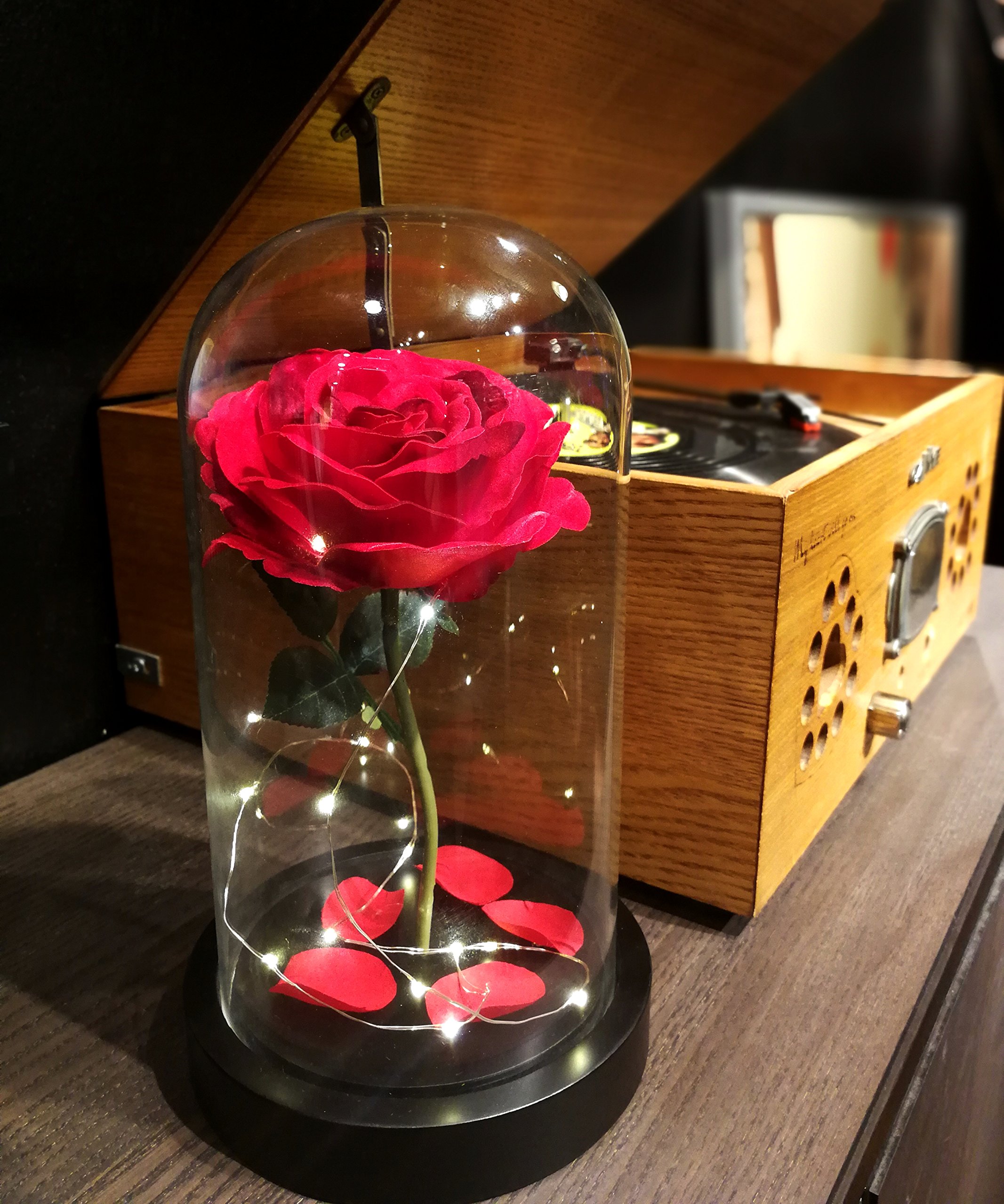 Homeseasons Enchanted Rose Beauty And T Buy Online In Colombia At Desertcart
