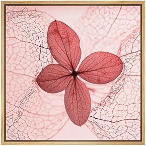 SIGNWIN Framed Canvas Wall Art Closeup of Pink...