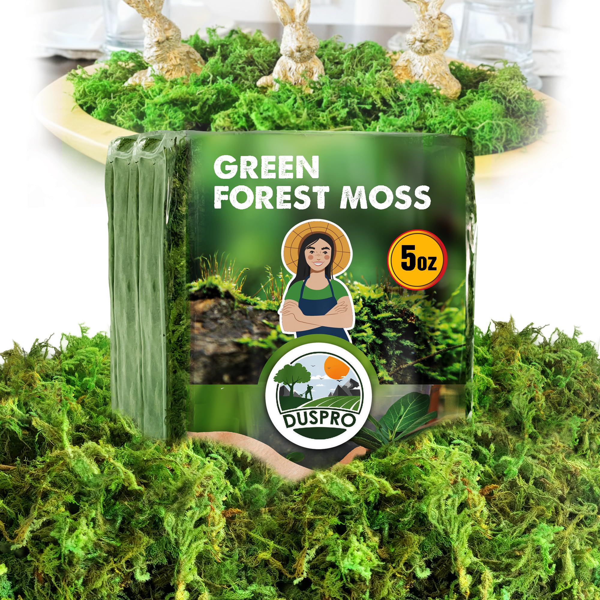 Photo 1 of [Upgraded] DUSPRO Green Moss for Crafts, Real Forest Moss Potted Plants, Decorative Mosses for Table Centerpieces Wedding, Easter Day Decoration, Indoor Planters, DIY Project (5 oz)