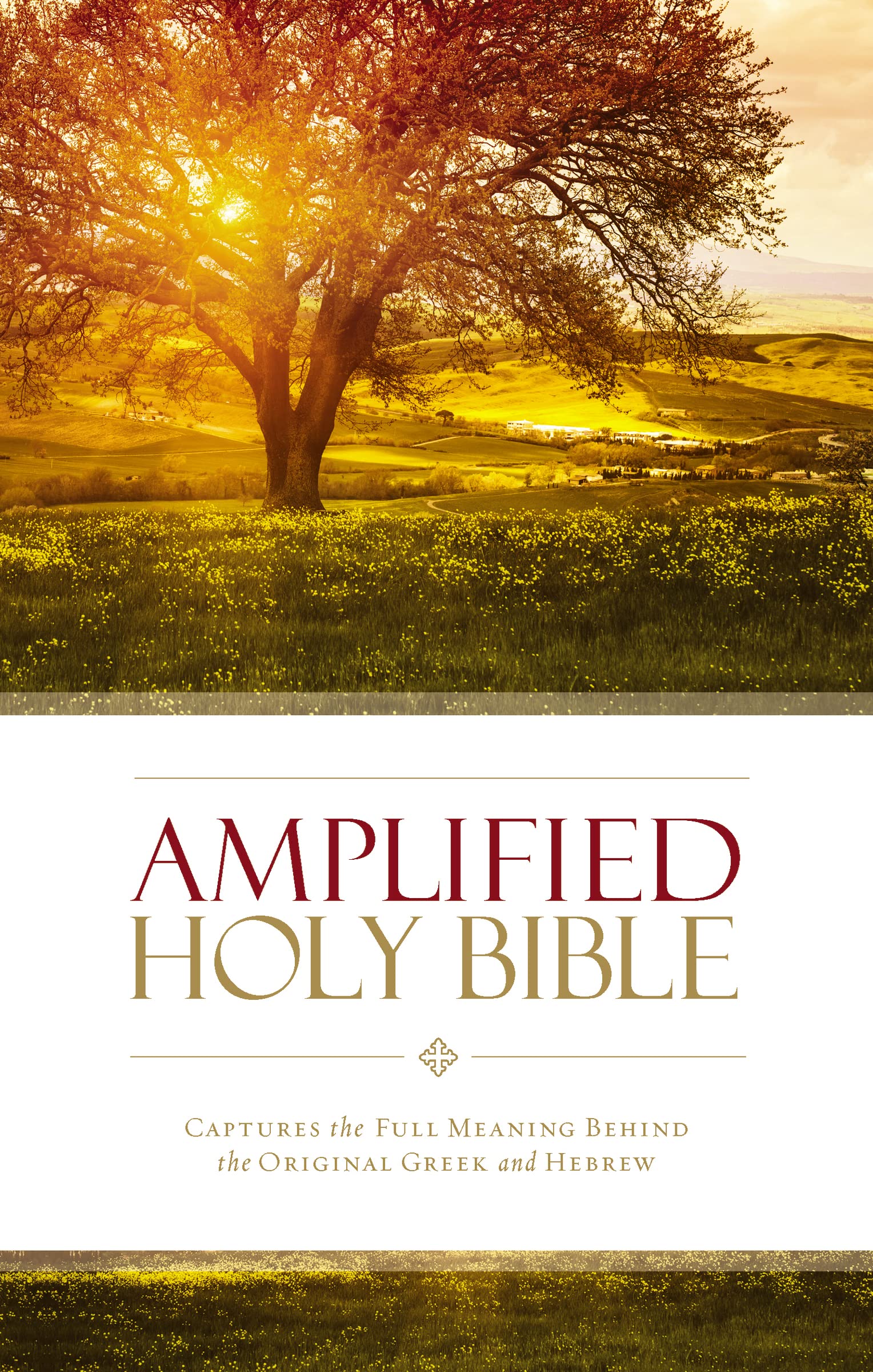 Amplified Holy Bible, Hardcover: Captures The Full Meaning Behind The  Original Greek And Hebrew: Zondervan: 9780310443872: Amazon.com: Books