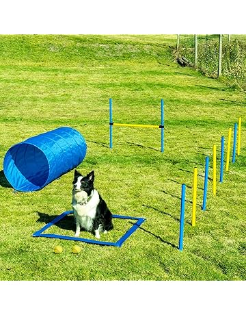 Amazon Com Agility Equipment Training Behavior Aids Pet