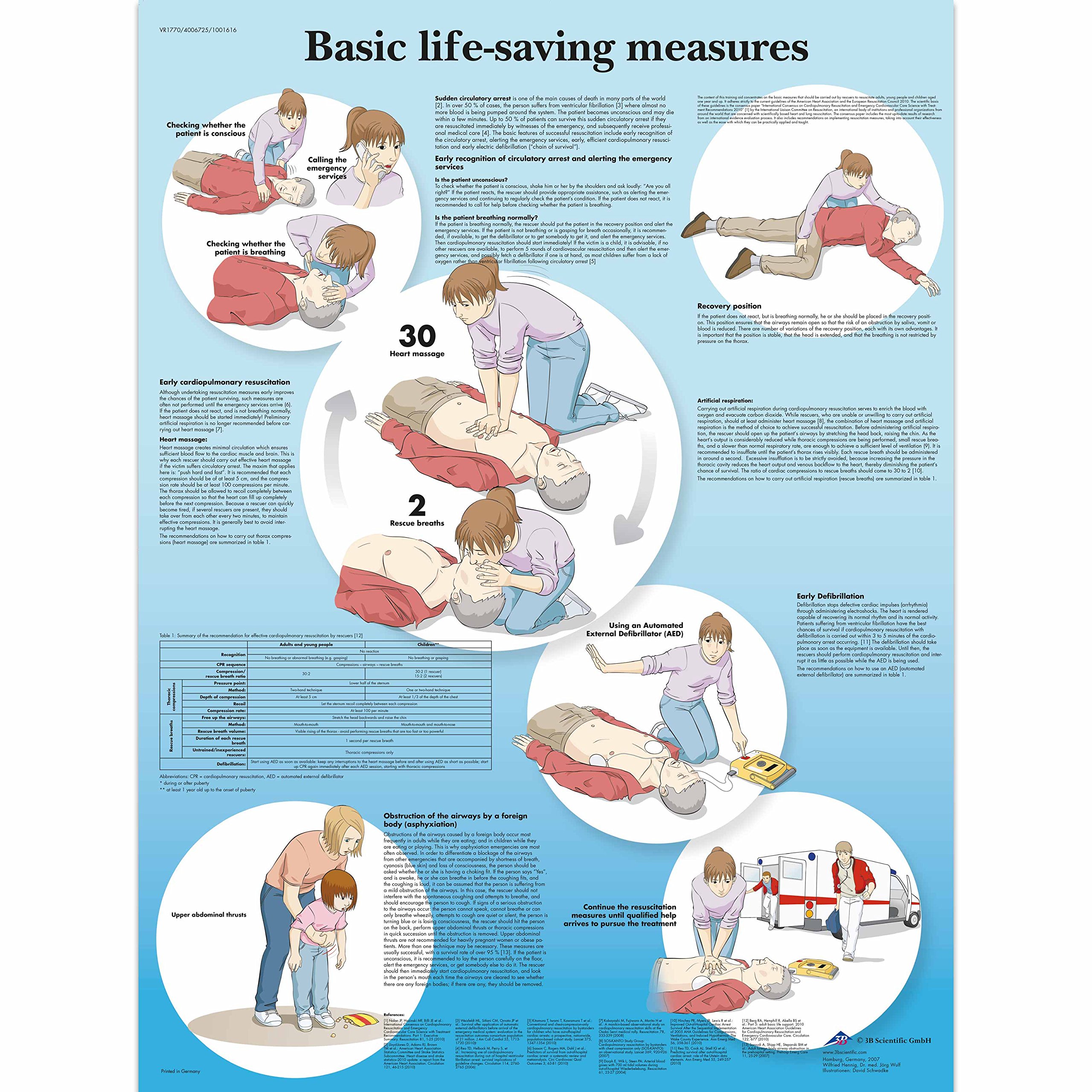 3B Scientific Human Anatomy - Basic Life Support Chart, Paper Version