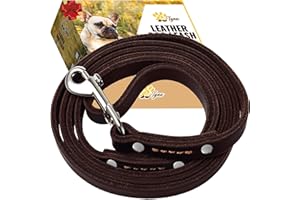 ADITYNA - Premium Leather Dog Leash - 6 ft, Heavy-Duty, Soft & Strong for Small/Medium Dogs (Small: 6 ft x 1/2", Brown)