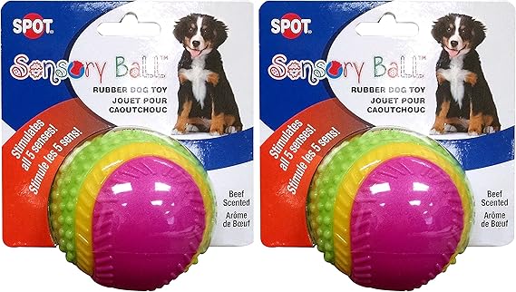 dog sensory ball