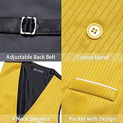Barry.Wang Mens Yellow Vest Striped Formal/Leisure