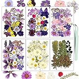 Pressed Flowers, Resiners Dried Pressed Flowers for