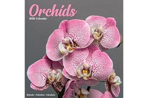 Orchids Calendar 2026 Square Flowers Wall Calendar - 16 Month